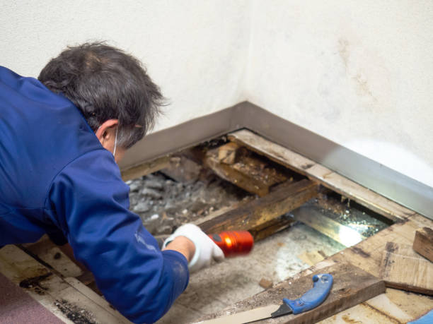 Best Certified Mold Removal  in Oxford, KS