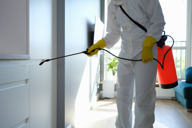 Best Professional Mold Removal  in Oxford, KS