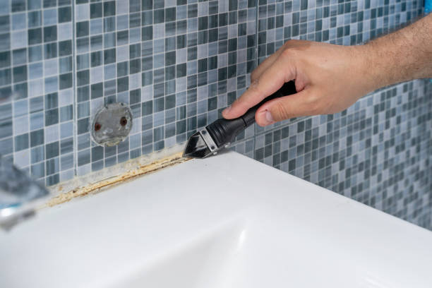 Best Mold Removal Company Near Me  in Oxford, KS