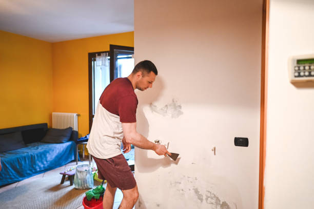 Professional Mold Removal in Oxford, KS