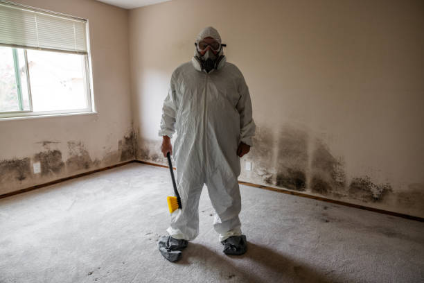 Certified Mold Removal in Oxford, KS