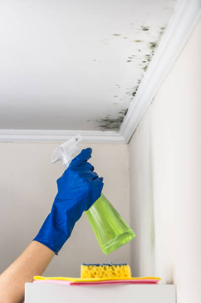 Best Crawl Space Mold Removal  in Oxford, KS